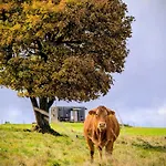 Glamping Na Malém Háji * Hora Svate Kateriny