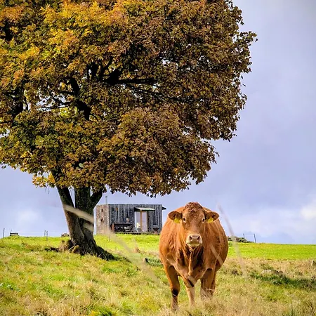 Glamping Na Malém Háji * Hora Svate Kateriny