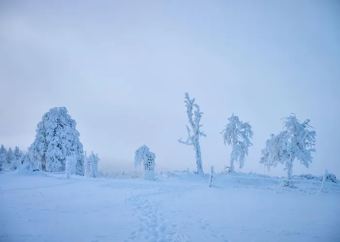 Glamping Na Malem Haji Holiday home
